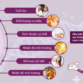 Tỉ lệ trao đổi chất phụ thuộc vào các yếu tố - Diasomlat+